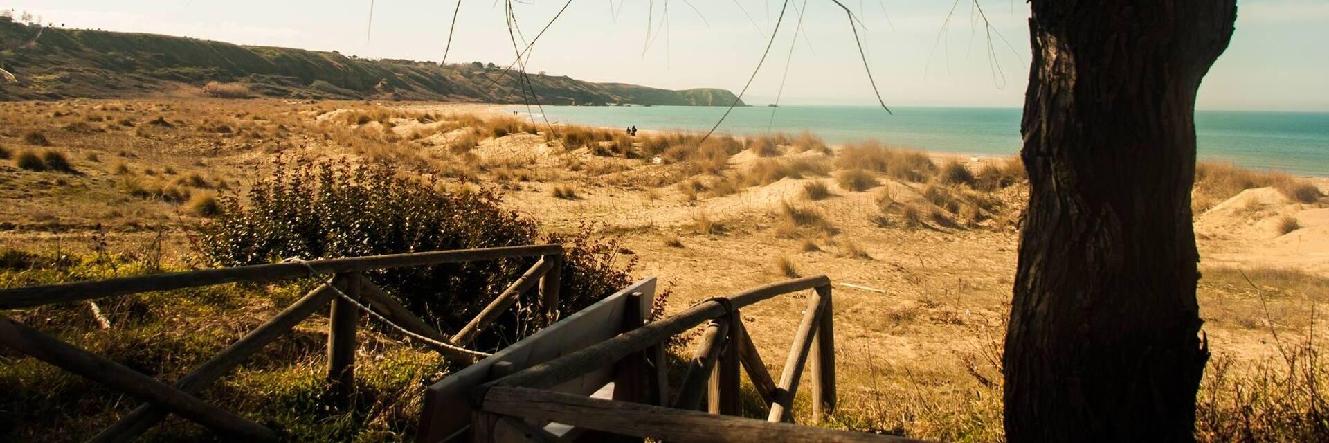 Dune e mare osservati da una passerella di legno